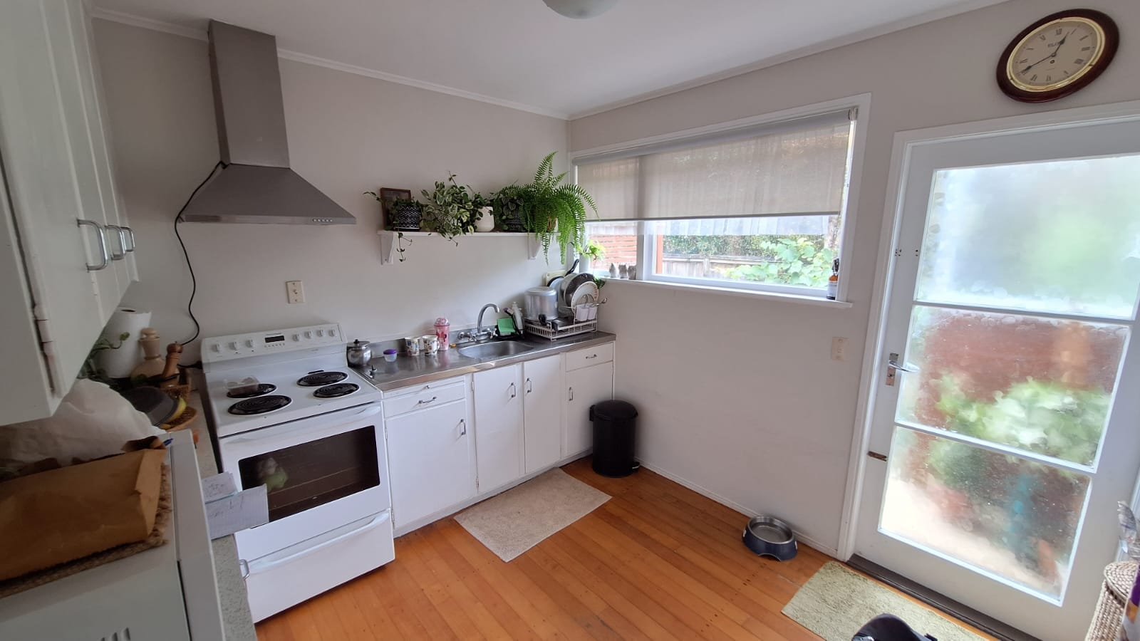 photo 2025 01 19 16 33 42 (1)